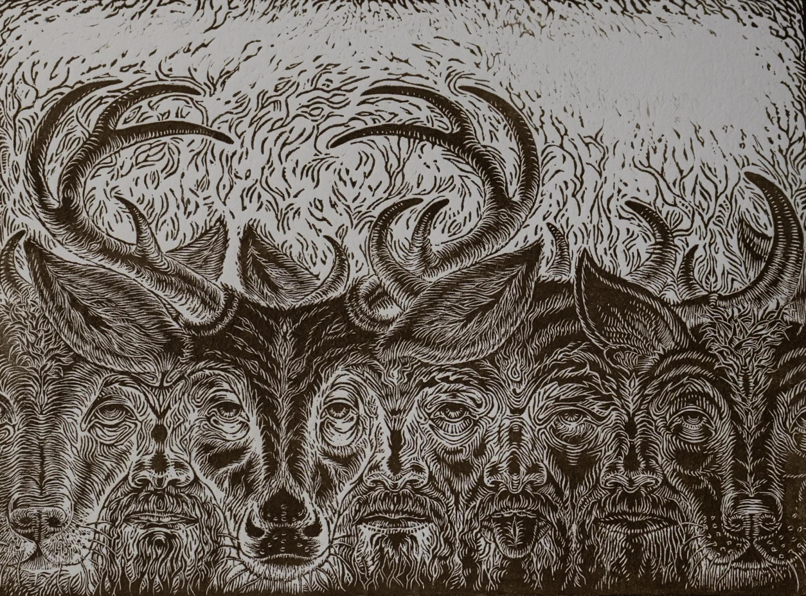 Fauna