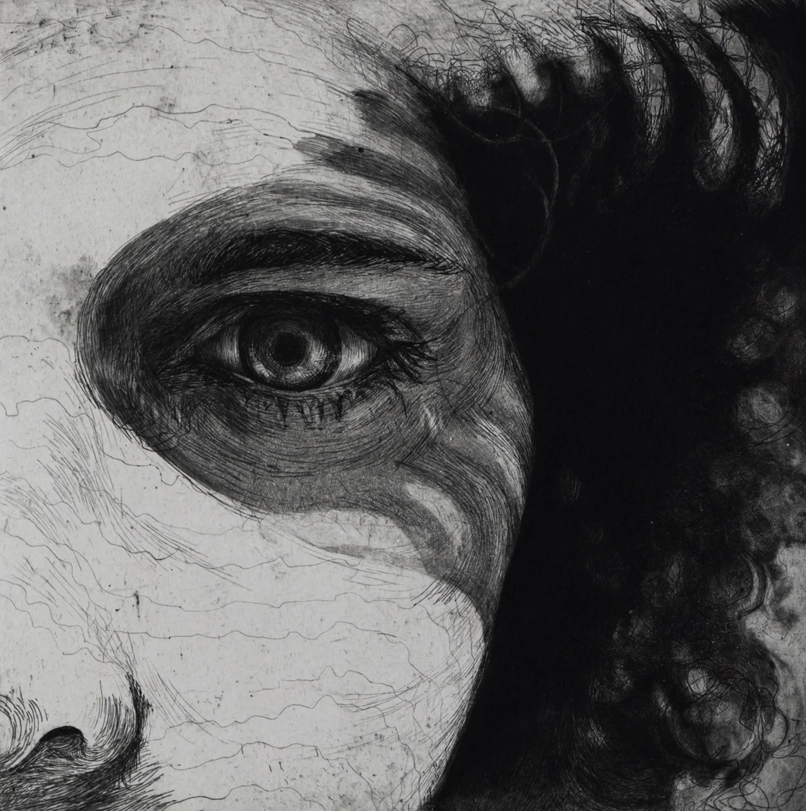 Entre Luces y Sombras