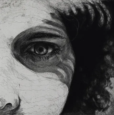 Entre Luces y Sombras