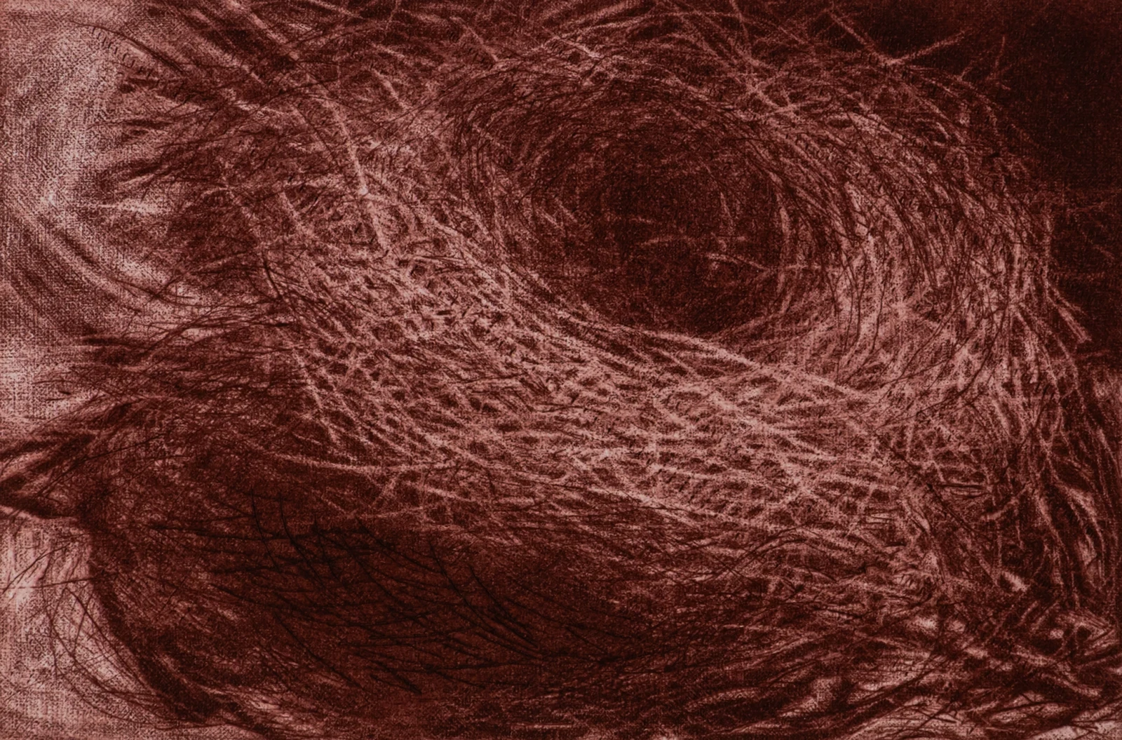 Raíces 